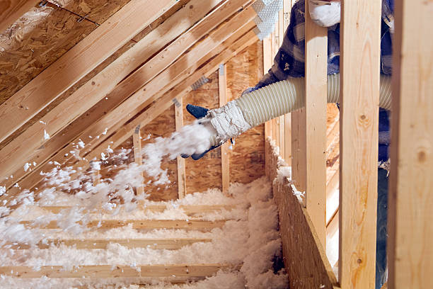 Professional Insulation Removal & Installation in East Dubuque, IL